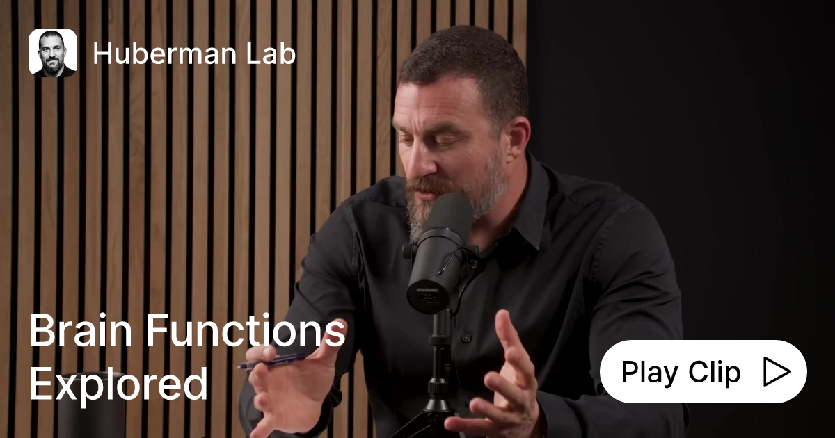 Brain Functions Explored | Ask Huberman Lab