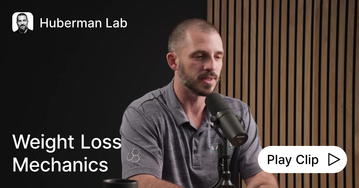 Understanding Fat Loss Ask Huberman Lab