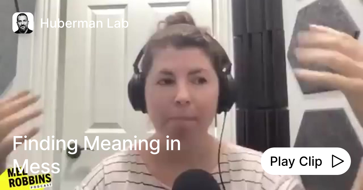 Finding Meaning in Mess Ask Huberman Lab