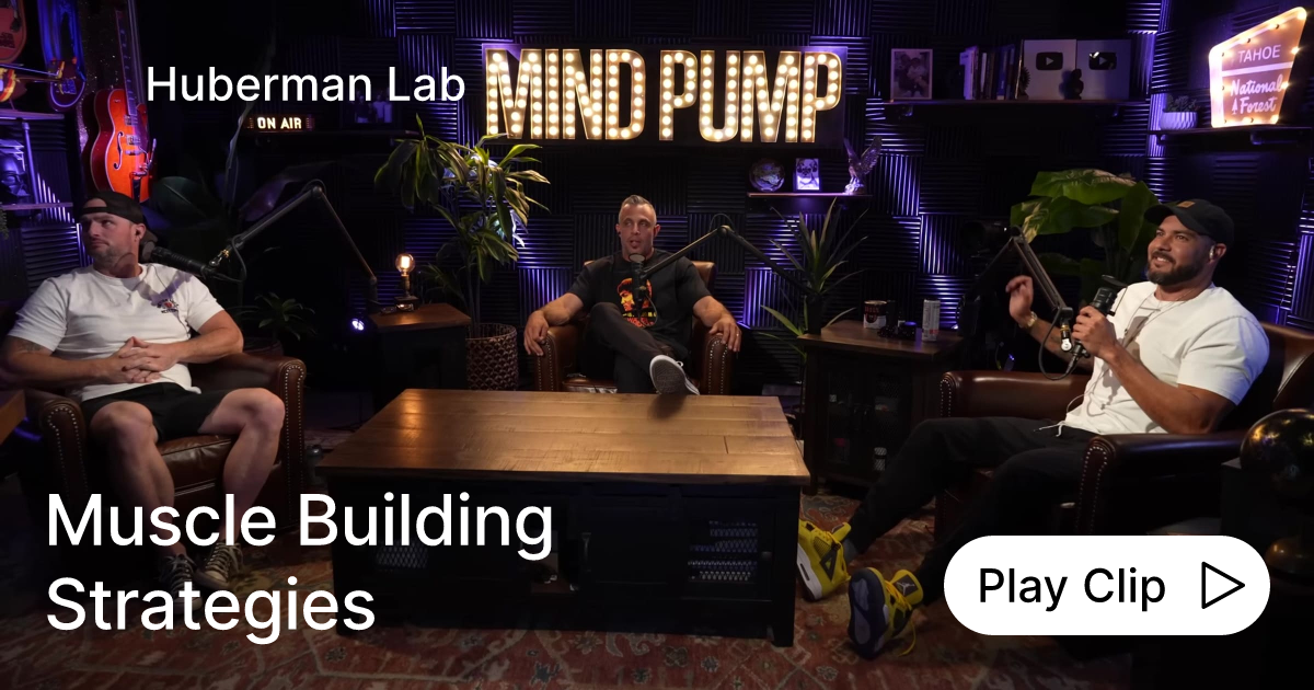 Muscle Building Strategies Ask Huberman Lab