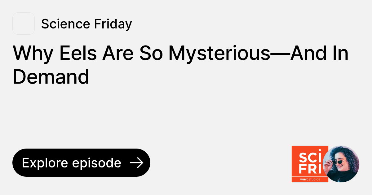 Why Eels Are So Mysterious—And In Demand