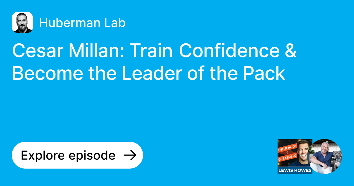 Episode Cesar Millan Train Confidence & the Leader of the Pack