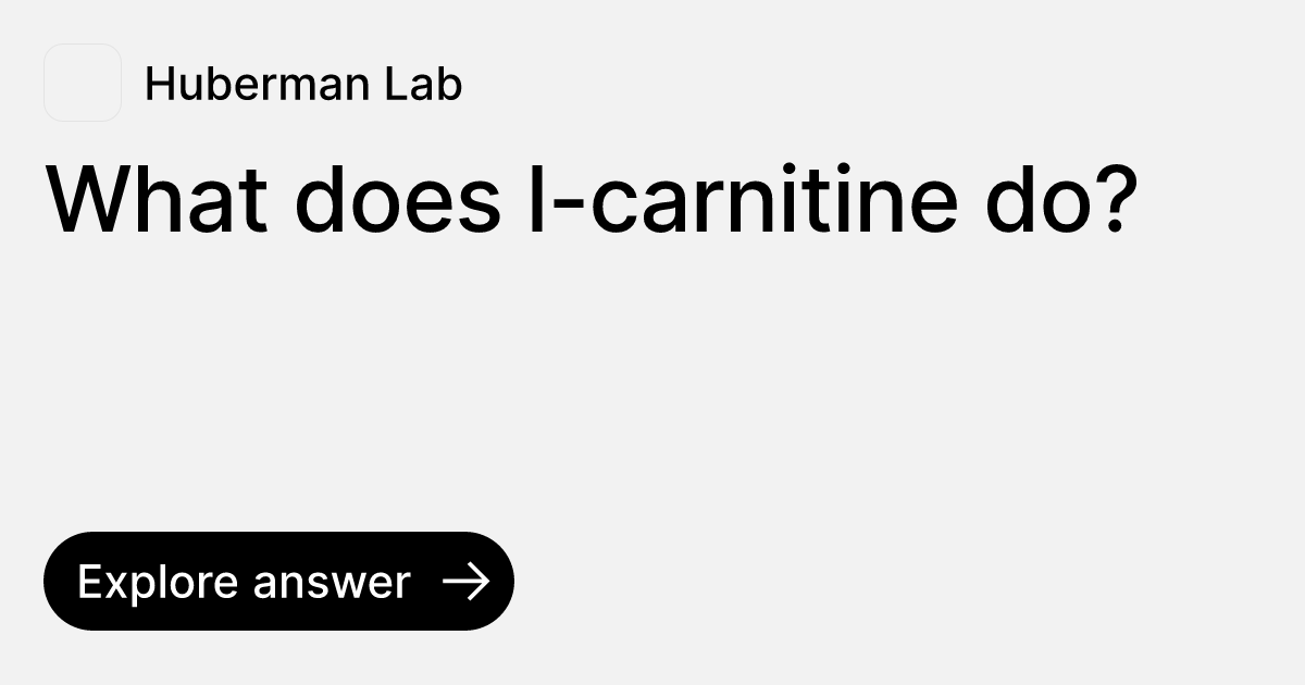 What does l-carnitine do?