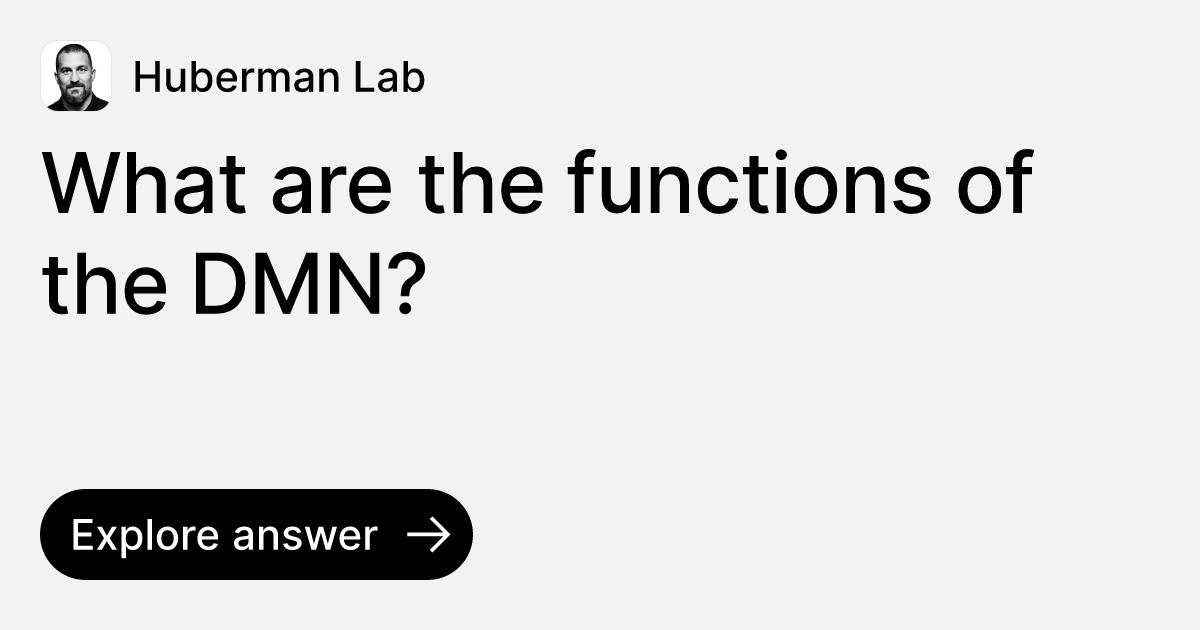 What are the functions of the DMN? | Ask Huberman Lab